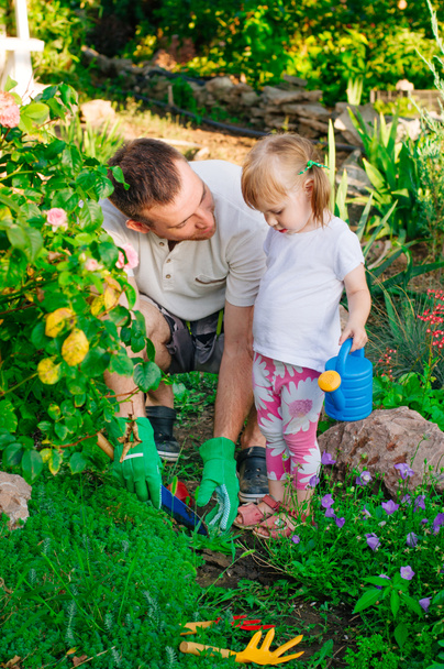Family outdoor activity concept. Little girl with her father planting succulent in the garden  - 写真・画像
