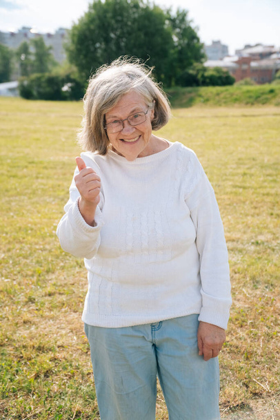 Portrait of a gray haired adult European grandmother with glasses on the background of nature in the park. Elderly senior woman stands with a smile - Foto, Bild