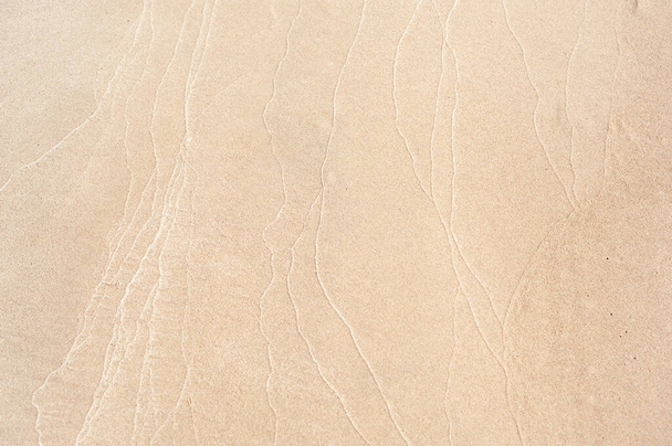 潮後の黄色い砂の質感 - 写真・画像