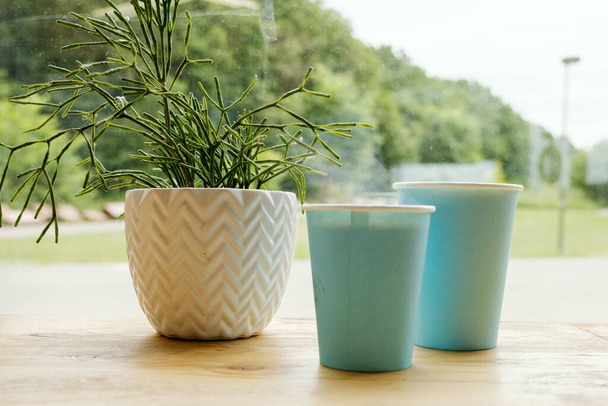 Голубые бумажные стаканы с горячим свежим кофе стоят на деревянном столе в кафе. Интерьер кафе с кактусом Рипсалиса (веточка) и другими зелеными растениями. Вид из кофейни
. - Фото, изображение