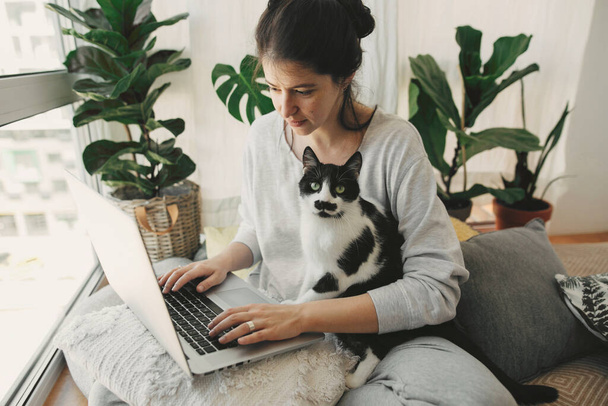 Zwykła dziewczyna pracująca na laptopie ze swoim kotem, siedząca razem w nowoczesnym pokoju z poduszkami i roślinami. Biuro domowe. Słodki kot pomagający właścicielowi podczas kwarantanny, lojalny towarzysz. Zostań w domu. - Zdjęcie, obraz