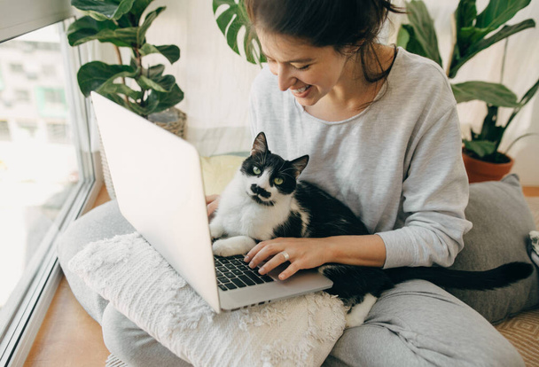 Rento tyttö työskentelee kannettavan kissansa kanssa, istuu yhdessä modernissa huoneessa tyynyjen ja kasvien kanssa. Pääkonttori. Nuori nainen käyttää kannettavaa tietokonetta ja söpö kissa istuu näppäimistöllä. Uskollinen ystävä - Valokuva, kuva