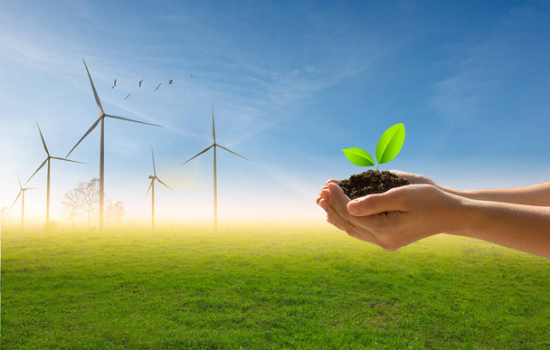 A small green tree in hand on the background of flock of birds, blue sky and green field with turbines.Green energy and nature concept. - Photo, Image