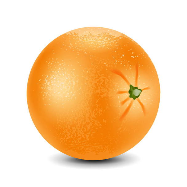 Fresh orange isolated on white background - Вектор, зображення