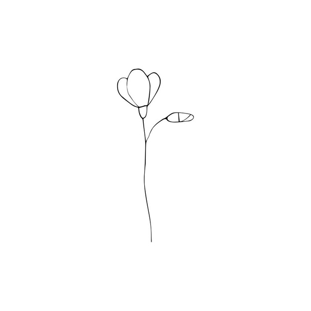 Linea decorativa in bianco e nero di fiori di cotone con foglie. Clipart vettoriale isolato. Minimale disegno a mano monocromatico disegno botanico. bocciolo incisione contorno - Vettoriali, immagini