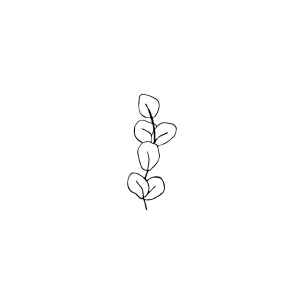 Linea decorativa in bianco e nero di foglie. Clipart vettoriale isolato. Minimale disegno a mano monocromatico disegno botanico. Fogliame incisione contorno - Vettoriali, immagini