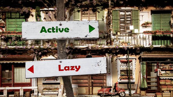 Street Sign the Direction Way to Active versus Lazy - Photo, Image