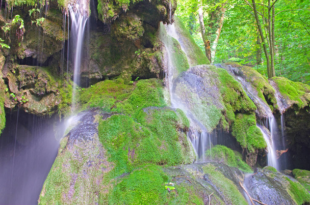 Flowing water on rocks and green moss, Besnita waterfall in Romanian Carpathians, summer scene - Фото, изображение