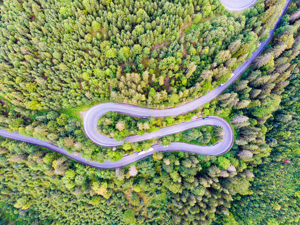 Above view of curvy road in green forest area - Photo, image
