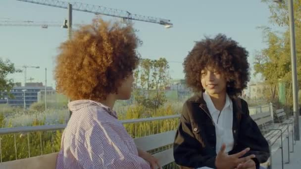 Schwarze Frauen mit gemischter Rasse reden im Park und die Kamera bewegt sich herum und zoomt dann heraus  - Filmmaterial, Video