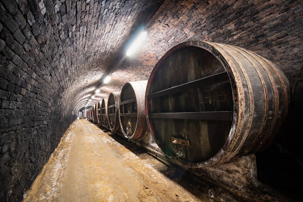 dřevěné sudy ve staré vinařství - Fotografie, Obrázek