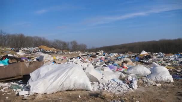 Molti rifiuti si trovano in luoghi aperti e liberamente disponibili a contatto con la natura. La spazzatura viene gettata a terra in campagna. Nozione di problema dell'inquinamento ambientale. Dolly ha sparato al rallentatore - Filmati, video