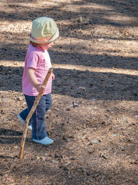 Δύο-year-old κορίτσι με άνετα ρούχα και καπέλο περπάτημα μέσα από την ύπαιθρο με ένα μπαστούνι σε μια ηλιόλουστη μέρα. - Φωτογραφία, εικόνα