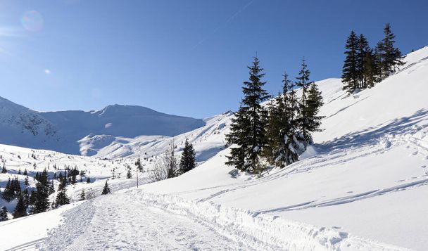 Paesaggio invernale dalle montagne polacche - Foto, immagini