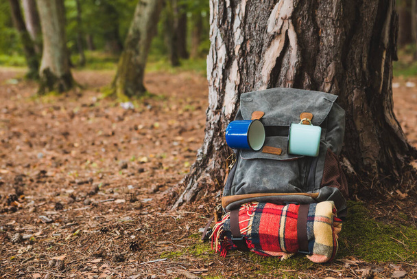 túrázás hátizsák közelében fa erdei túrázás koncepció - Fotó, kép