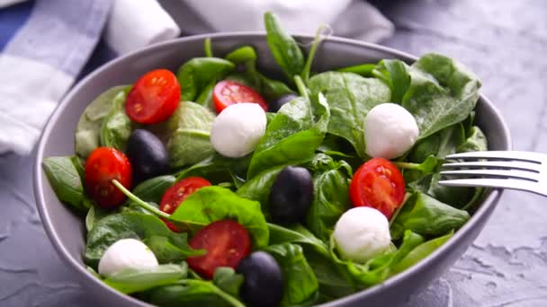 Вегетаріанська і органічна харчова концепція. Італійський або середземноморський салат. Tomato mozzarella basil листки чорні оливки і оливкова олія обертаються - Кадри, відео
