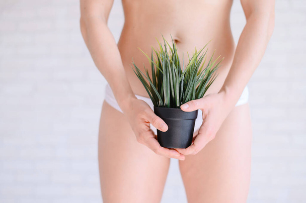 Bikini area depilation. Advertising Brazilian laser bikini line hair removal. A woman in white underwear is holding a potted plant. Epilation of vegetation in the intimate zone. - Zdjęcie, obraz
