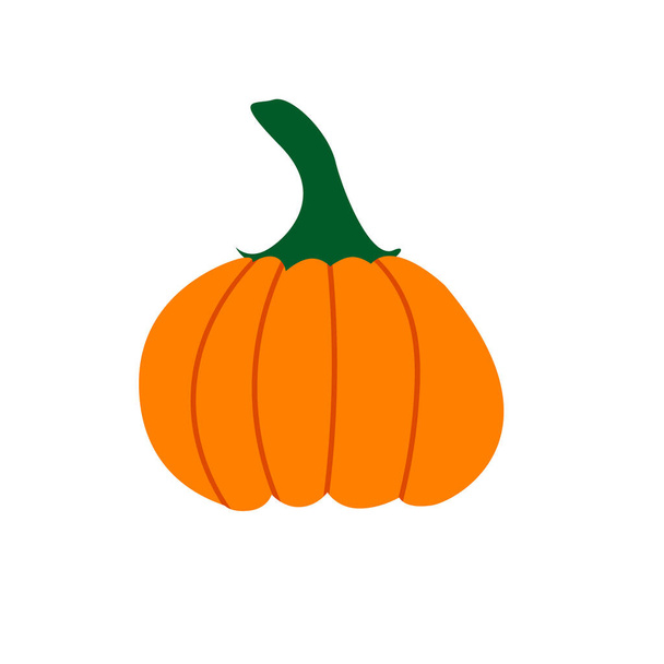 Pumpkin vector flat illustration. Pumpkin for Halloween and thanksgiving day design. Organic autumn vegetables - Vector, Image