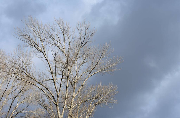 Paisaje urbano nublado en frío día de invierno
 - Foto, Imagen