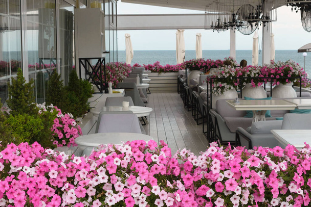 Multi-colored flowers of petunias close-up in the design of a restaurant by the sea. Balcony decorative plants. Gardening. - Фото, изображение
