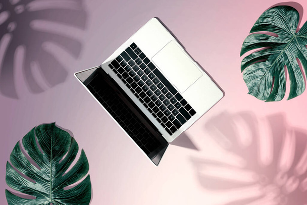 Laptop computer with tropical leaves - Φωτογραφία, εικόνα