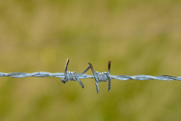 Barbed wire fence in a close-up with green blurred nature and lots of copy space - Photo, Image