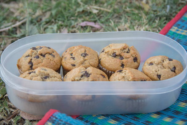 Sept muffins maison aux pépites de chocolat dans un récipient en plastique, à l'extérieur - Photo, image