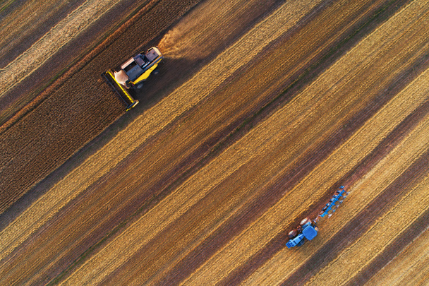 Combine harvester agriculture machine harvesting golden ripe wheat fiel - Photo, Image