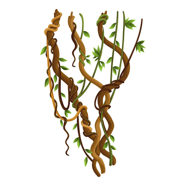 Twisted wild lianas branches banner. Jungle vine plants - Vector, Image