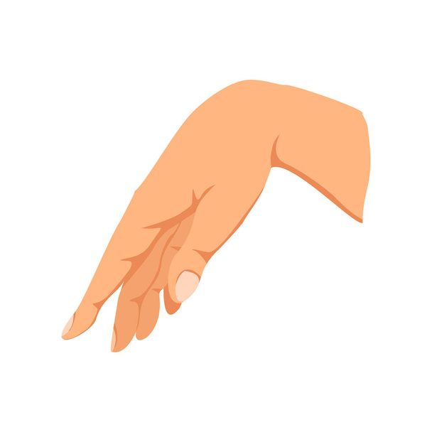Señal de mano femenina. Signo de gesto humano. Lenguaje. Ilustración vectorial aislada - Vector, imagen