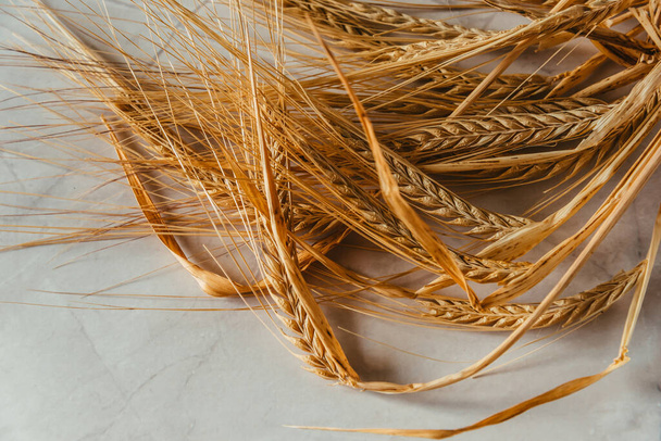 wheat spikes on white marble background - 写真・画像