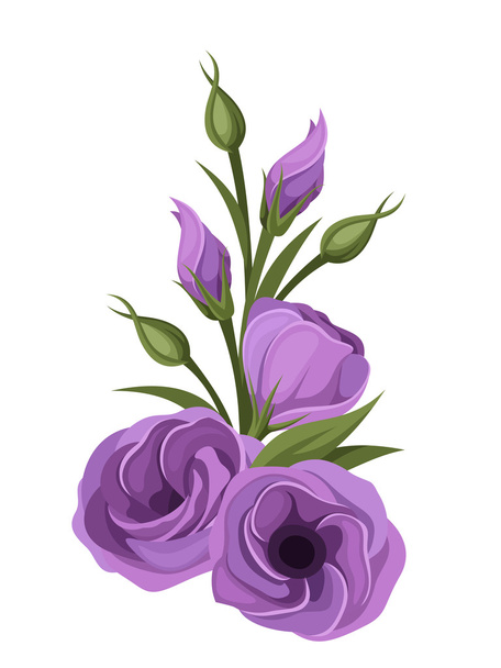 Purple lisianthus flowers. Vector illustration. - Vektor, obrázek