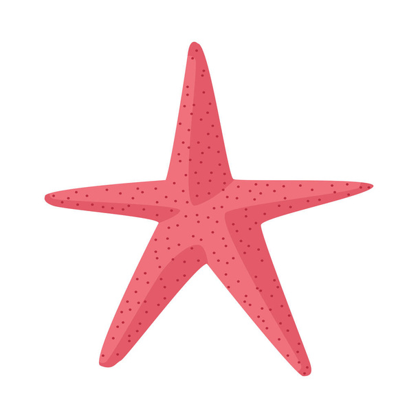 starfish sea animal summer icon - Vector, Image