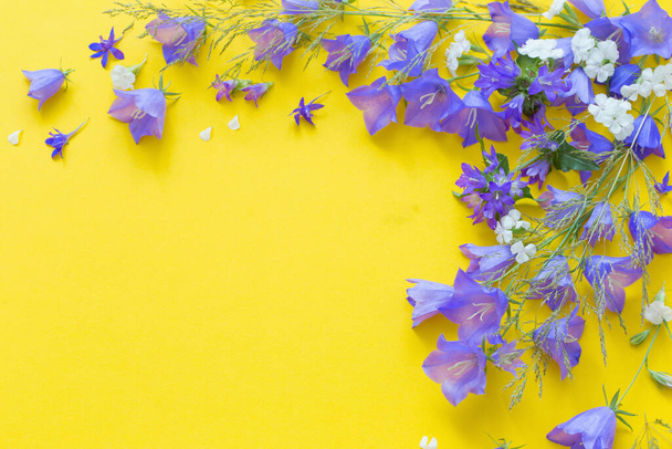 blue wild flowers on yellow background - Fotó, kép