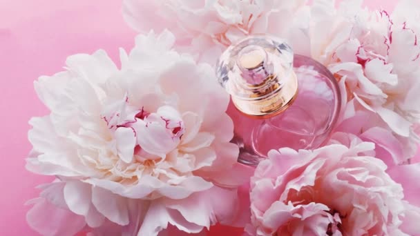 Pink parfém láhev s pivoňkami květiny, elegantní vůně jako luxusní kosmetické, módní a kosmetické pozadí - Záběry, video