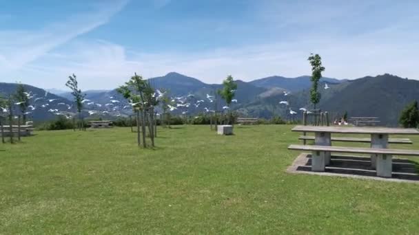 Troupeau de mouettes survolant la zone de loisirs d'Arraiz par une journée ensoleillée d'été - Séquence, vidéo