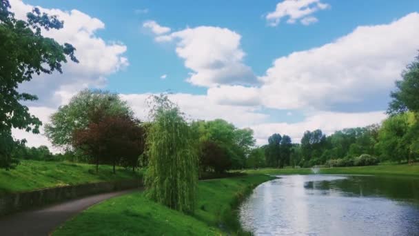 Výhled na jezero, zelené stromy a modré nebe jako příroda, krajina a přírodní prostředí - Záběry, video