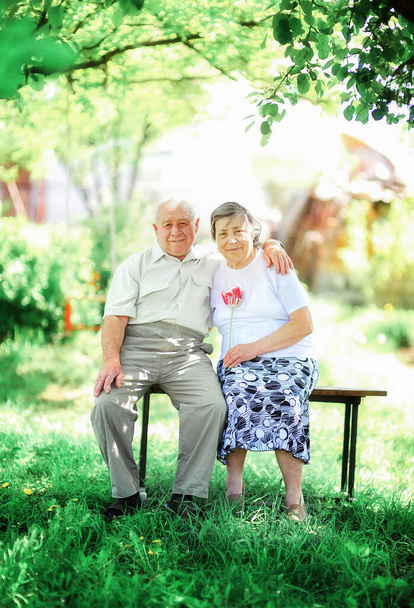 Loving elderly couple sitting hugging on a bench in the street - Photo, Image