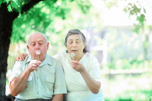 Amour vieux couple soufflant sur les pissenlits - Photo, image