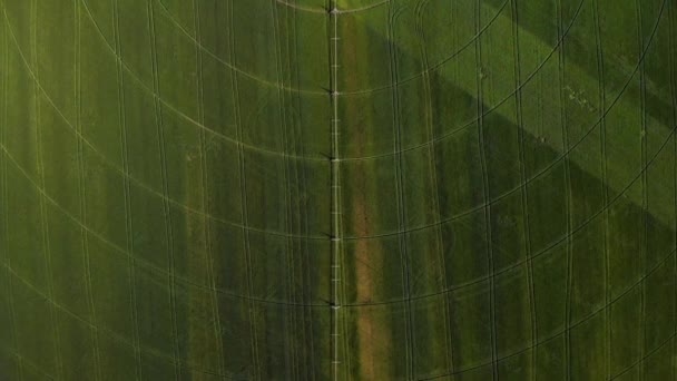 Vista aérea agrícola con riego circular de cultivos
 - Metraje, vídeo