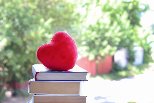 Rotes, weiches Herz auf einem Stapel Bücher auf einem Hintergrund aus defokussiertem Laub von Bäumen. Kopierraum - Bildungskonzept, Entwicklung der Kinder, zurück zur Schule, Wissen, Hausaufgaben, Unterricht - Foto, Bild