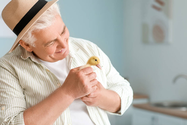 Senior farmer with cute duckling at home - Foto, Bild