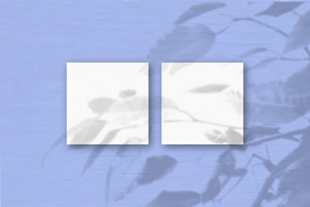 2 vierkante vellen wit getextureerd papier op de blauwe achtergrond van de muur. Mockup bedekt met de schaduw van de planten. Natuurlijk licht werpt schaduwen van een exotische plant.Flat lay, bovenaanzicht. Horizontale oriëntatie - Foto, afbeelding