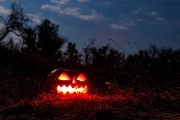 Spooky Halloween pumpkin jack-o-lantern with burning candles in scary forest at night - Foto, imagen