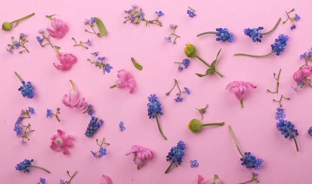 flowers and plants isolated on pink background. - Fotoğraf, Görsel