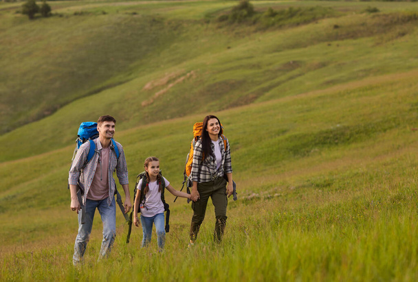 A family of tourists hiking ckpacks is walking along the grass on a hill in the mountains. - Photo, image