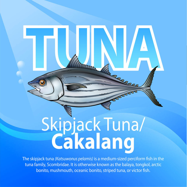 Ilustração vetorial, Skipjack tuna ou Cakalang é um peixe perciforme de tamanho médio da família dos atuns, scombridae
. - Vetor, Imagem