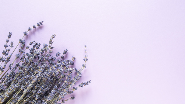 Lavanda flores secas sobre fondo violeta. Espacio para el texto. Vista superior
 - Foto, Imagen