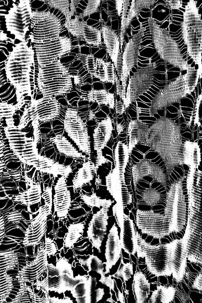 Abstract black and white textured background. Monochrome texture - Photo, Image