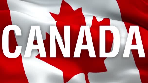 Канада размахивает флагом. Национальный 3-й канадский флаг с размахиванием листовой эмблемой. Знак канадского Торонто. Канадский флаг HD разрешение Фон. Канадский флаг Closeup 1080p Full HD видео для презентации - Кадры, видео